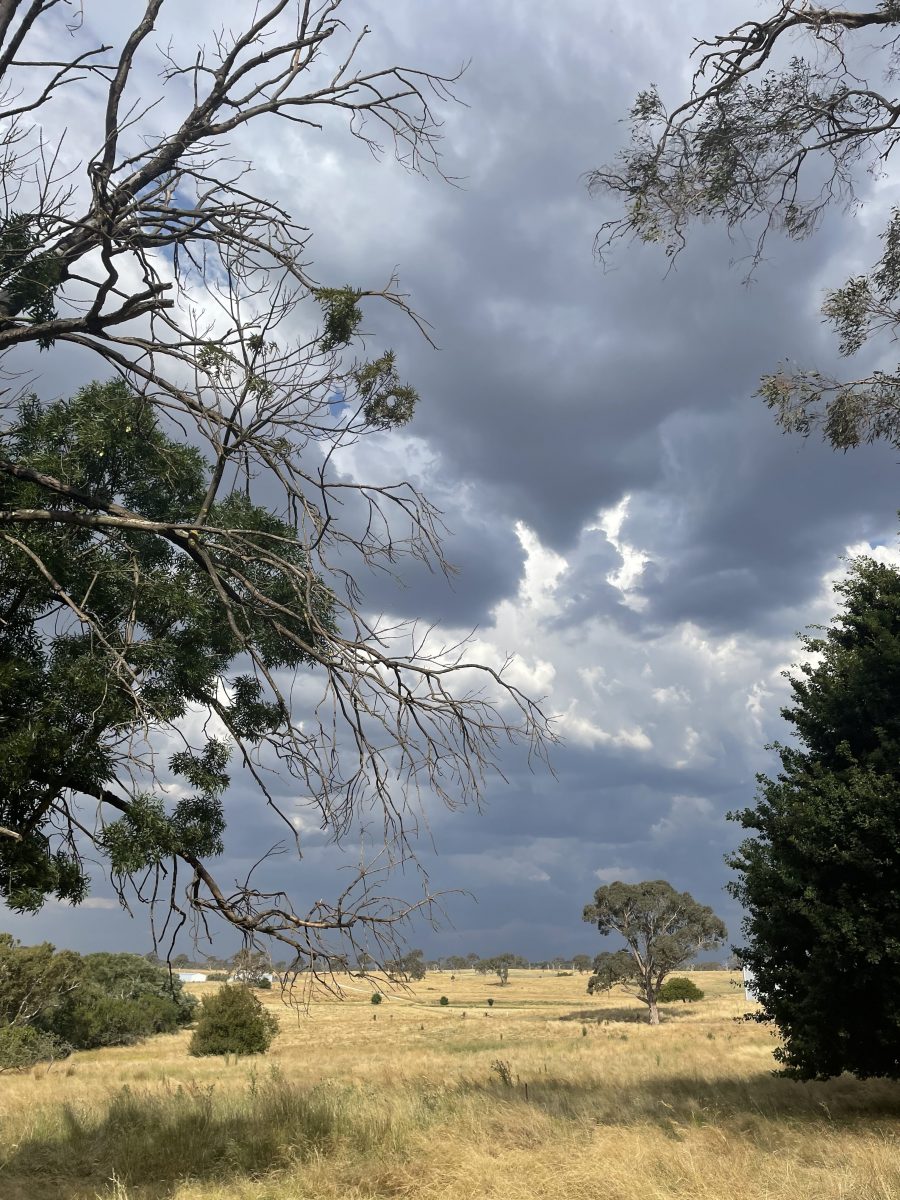 storm clouds.