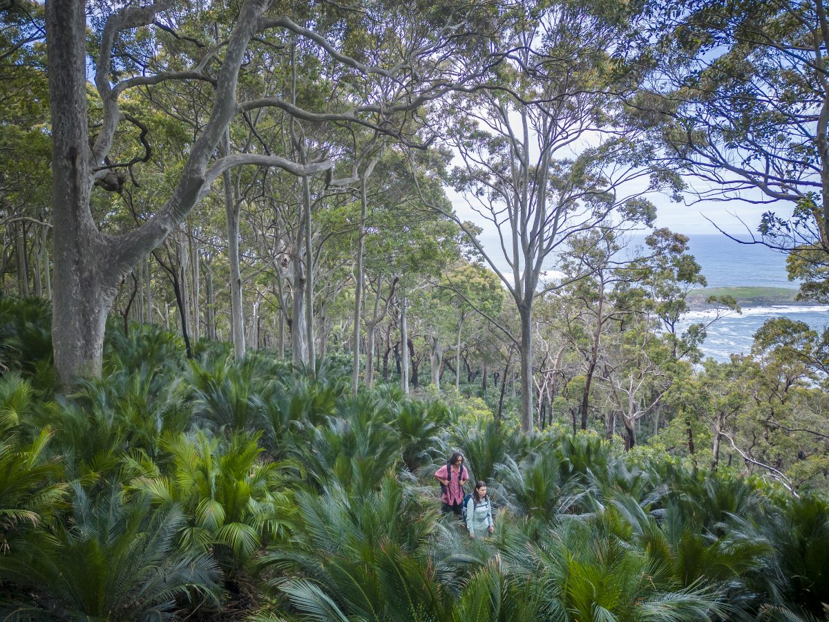 Murramarang South Coast Walk