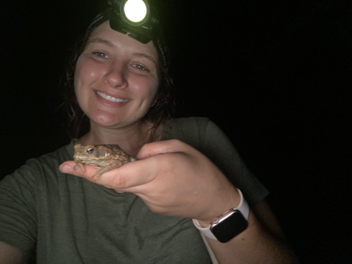 Steph Deering with headlamp holding cane toad