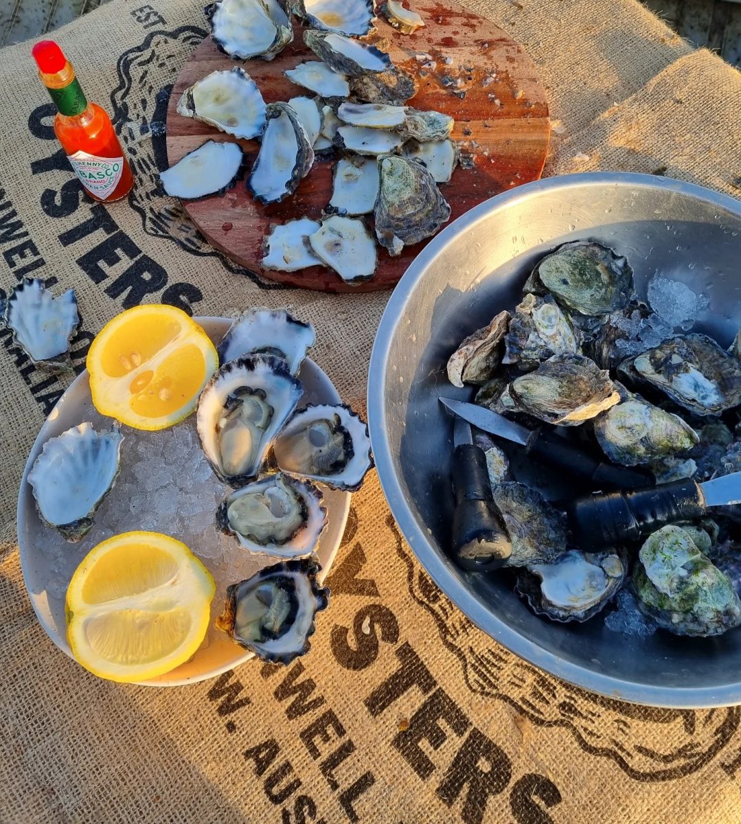 Plates with freshly shucked oysters, unopened oysters and some discarded shells on a table covered in Jim Wild's Oysters branded hessian sacks. There are lemon wedges and a small bottle of tabasco hot sauce on the table.