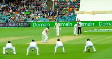 In praise of Test cricket and the long lazy days of summer