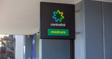 Auslan On-Demand now available across the Services Australia network