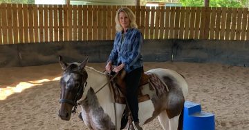 Entering the 'nightmare-ish' world of the horse owner