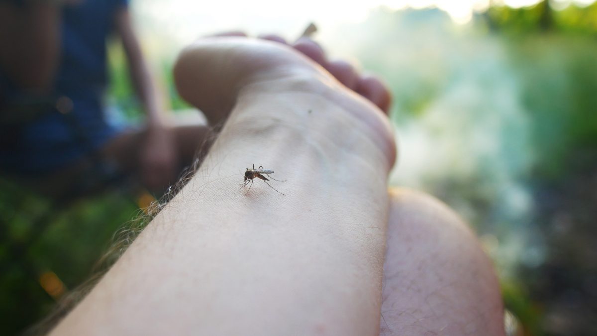 Residents and visitors to high-risk areas in NSW are being urged to take extra measures to avoid mosquito bites. 