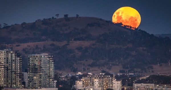 You won't see another moon like tonight's for 14 years (and it's going to be super)