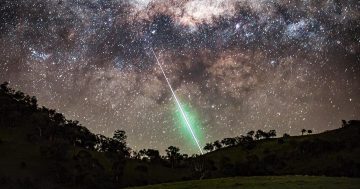 Earth is about to run into debris from Halley's Comet: here's when the Illawarra can see it happen