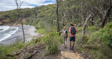 Community concern, confusion over plan to prioritise businesses at popular NSW campsites