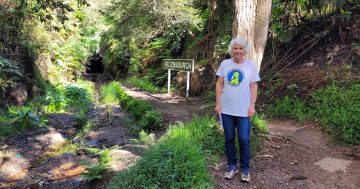 Merilyn House has been making Helensburgh's bush her home for decades