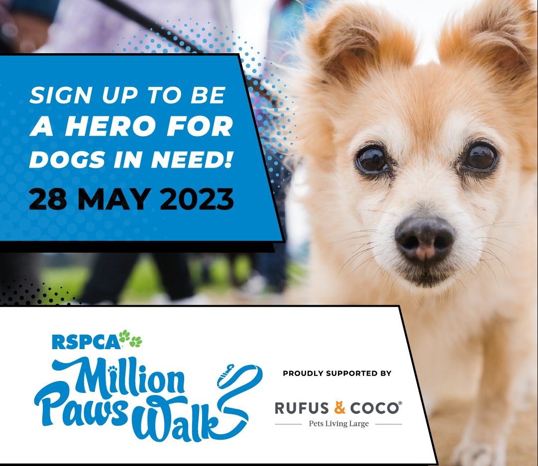 Flyer for RSPCA Millions Paws Walk 