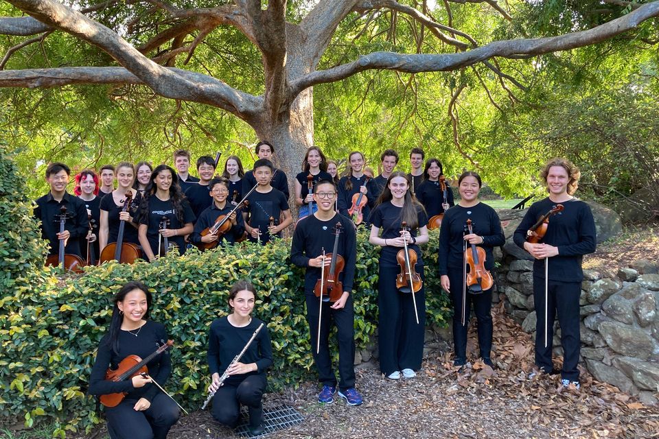 Wollongong Conservatorium of Music's BlueScope Youth Orchestra gather in front of a tree