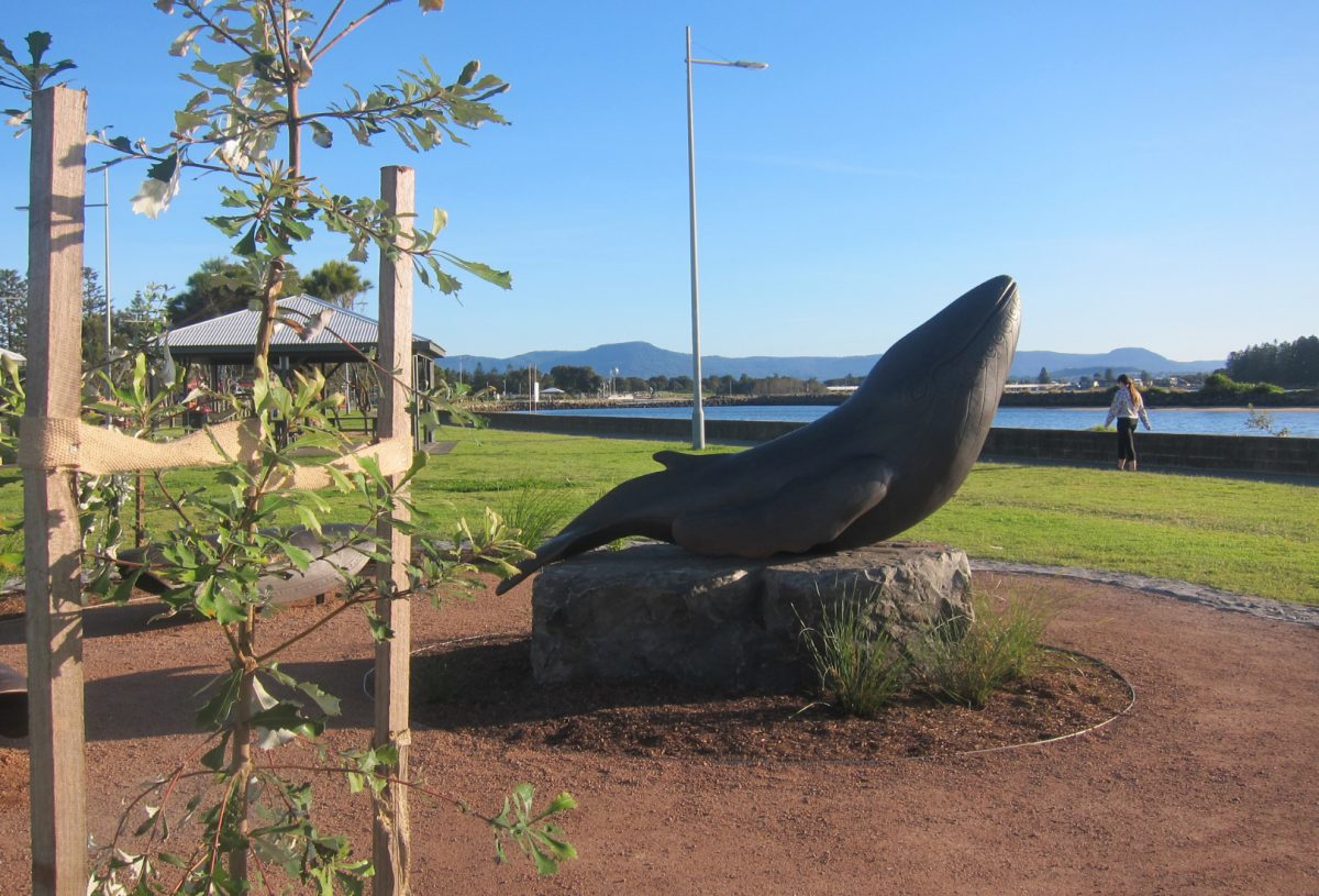 Whale sculpture on the Shellharbour Art Trail