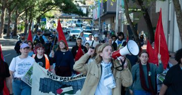 Pro-Palestinian activists rally for march across Sea Cliff Bridge