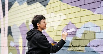 Painting the town: Shellharbour graffiti hotspots become works of art during mural festival