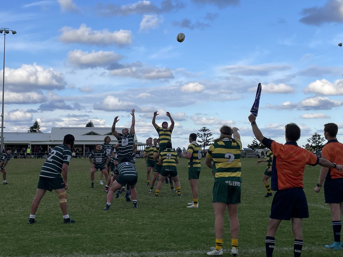 Shamrocks play Shoalhaven in rugby.