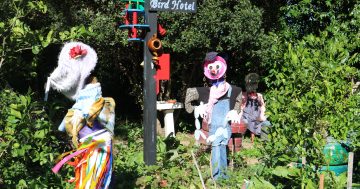 What changes would you make to Wollongong Botanic Garden?