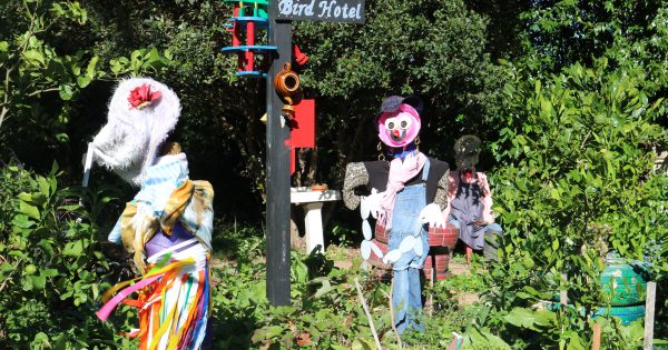 What changes would you make to Wollongong Botanic Garden?