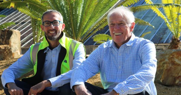 Prehistoric survivors find a safe new home at Wollongong Botanic Garden