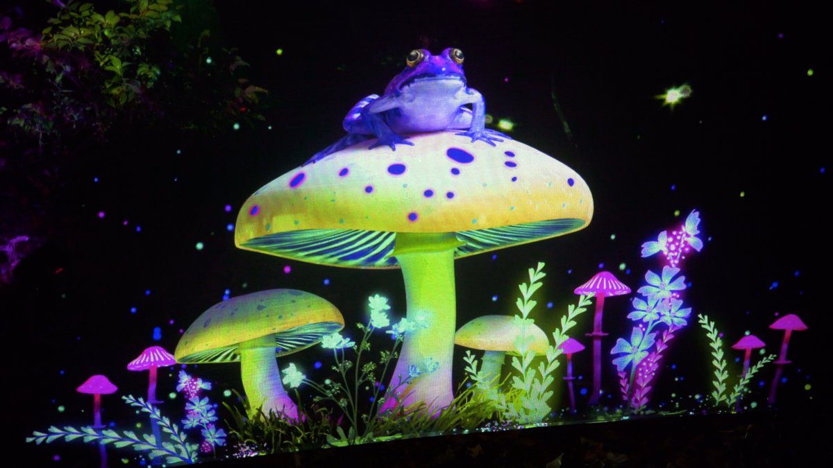 A colourful projection of a frog on a mushroom