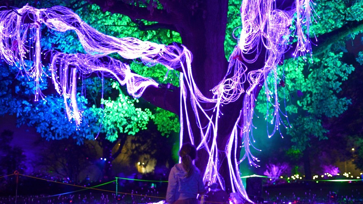 Girl looks at lit-up tree at Laservision lightshow