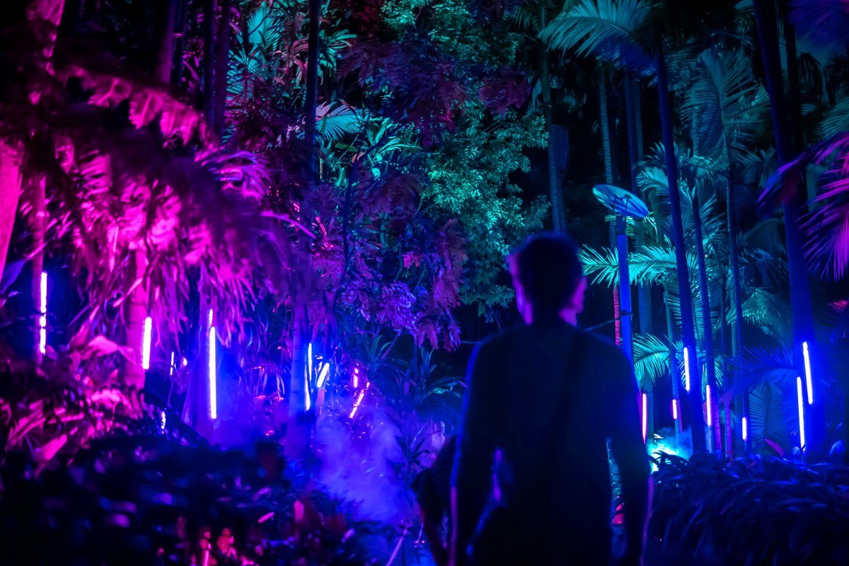 Man looks at colourful trees lit up at a Laservision laser light and sound installation