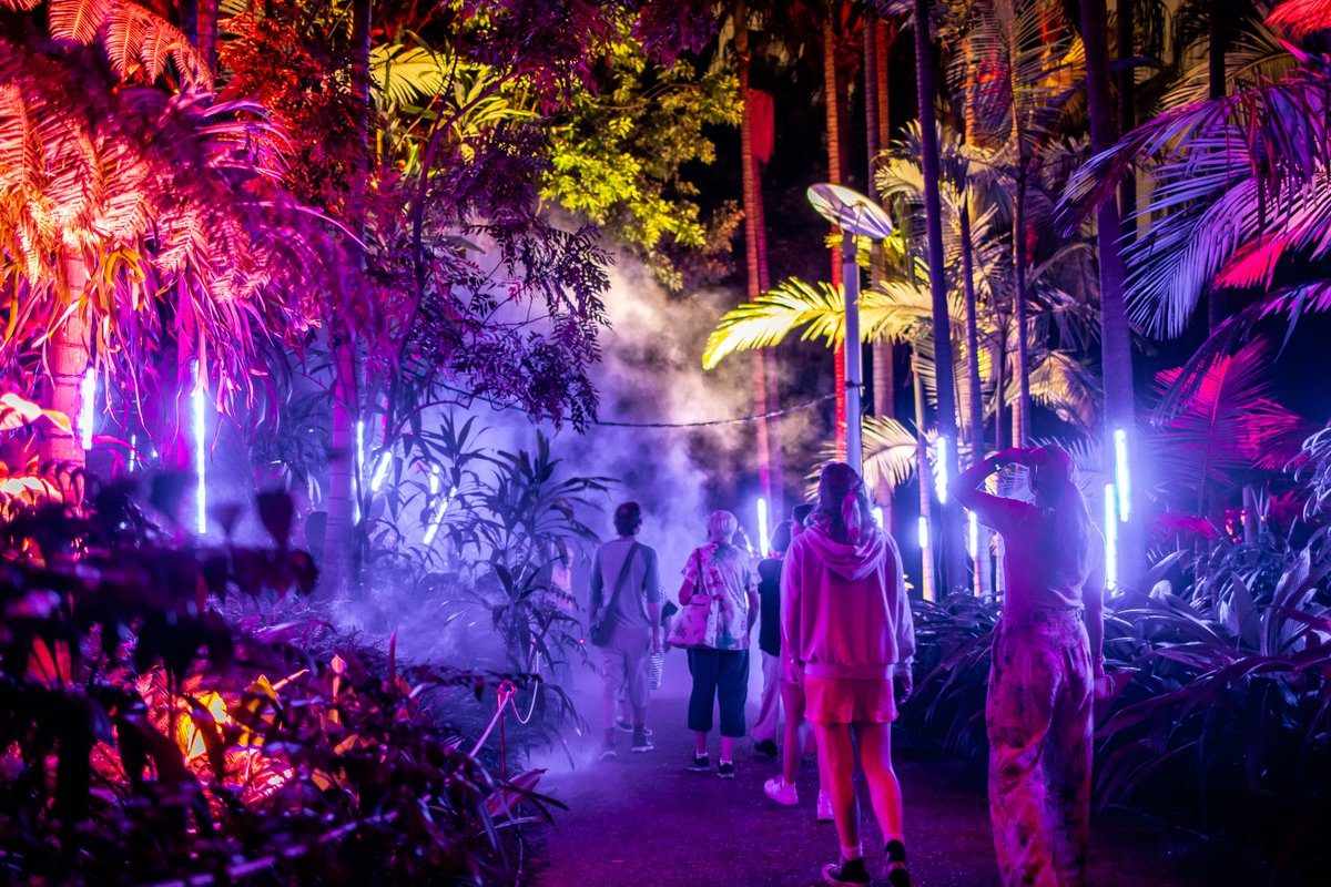 People walk through colourful Laservision light show in a forest