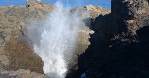 Search resumes for fisherman washed off rocks at Kiama Blowhole