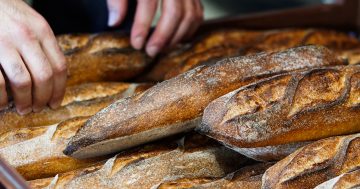For the love of sourdough: The story behind Pane Paradiso