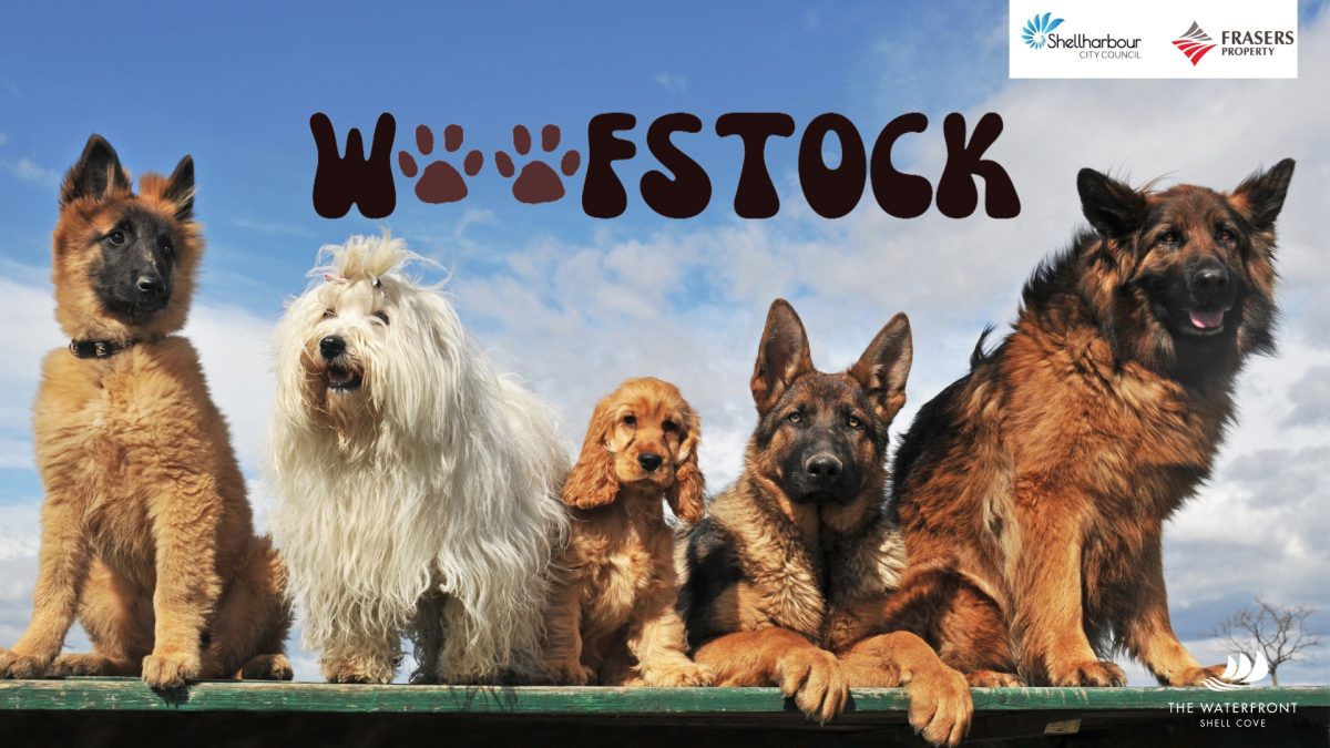 Flyer for Woofstock event featuring five dogs against a blue sky