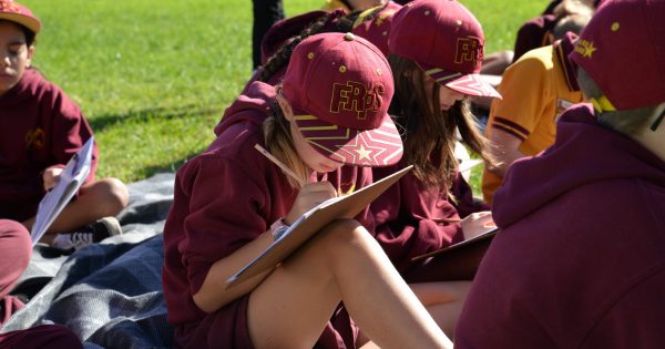 Kids all over the Illawarra are engaging with Poem Forest, an initiative to help green the 'Gong