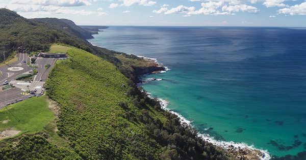 Five places for Wollongong landlubbers to spot whales this bumper season