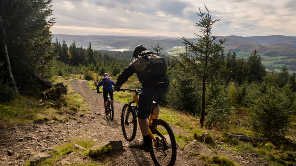 Mountain bike riders travelling through Scotland's Glentress Forest.