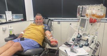 Dapto grandfather's platelets prove to be the perfect match for newborns in need