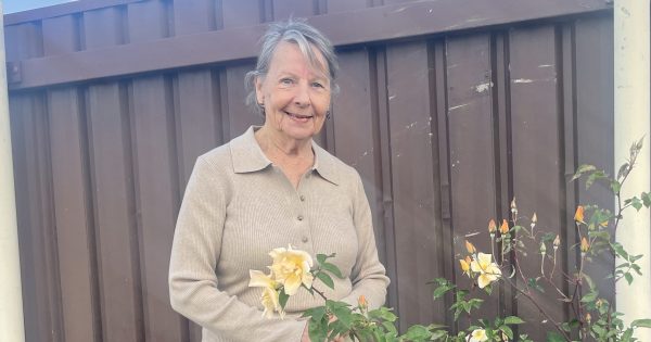 Everything's coming up roses for King's Birthday honouree Judith Oyston