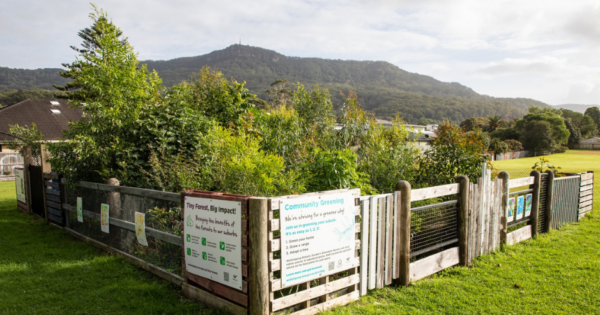 The tiny forests shooting up in Wollongong suburbs