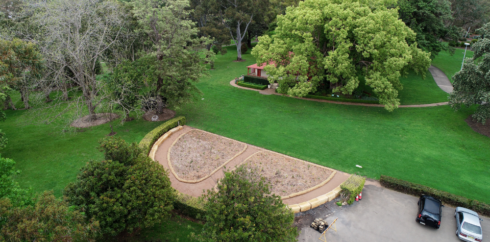 The Tiny Forest at Wollongong Botanic Garden was planted in the shape of lungs to remind people of the importance of plants.