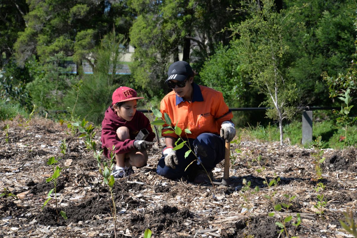School student planting trees along Allans Creek with Wollongong City Council staff