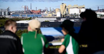 Warrawong students learn firsthand about huge role Port Kembla plays in economy
