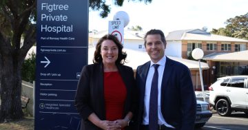 Temporary beds for elderly patients to ease pressure on struggling Wollongong Hospital