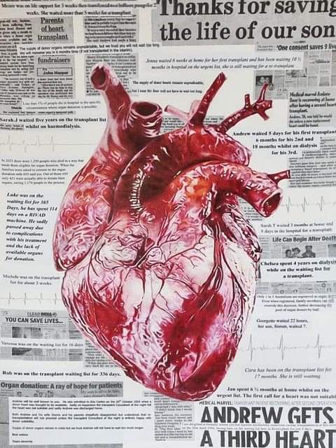A pencil drawing of a realistic heart on newspaper clippings.