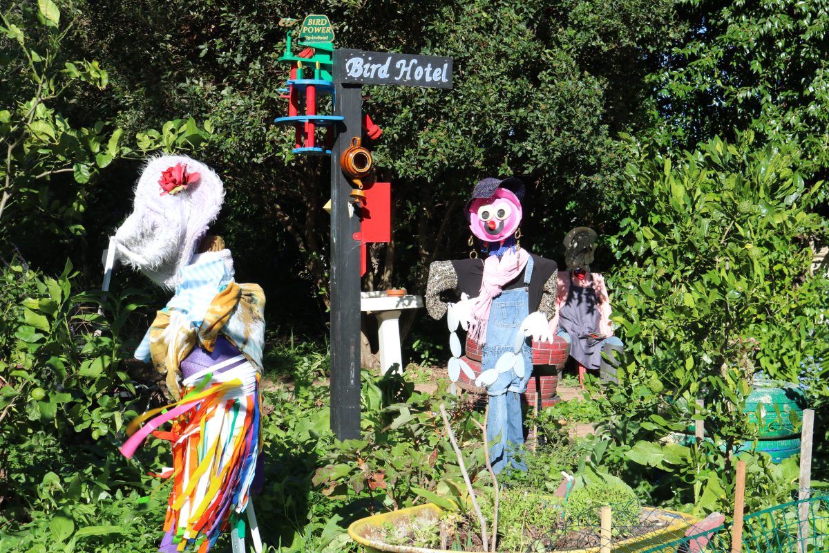 figures in Wollongong Botanic Garden