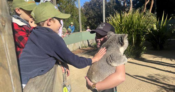 Kids have a wild time learning to be zookeepers at Symbio Wildlife Park