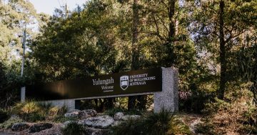 University of Wollongong admits underpaying 6000 staff, bill expected to hit $8 million
