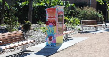 Seeking a work of art for Corrimal's new street library