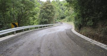 Kiama community counts down to Jamberoo Mountain Road reopening after year-long closure