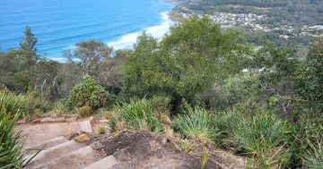 400 sandstone steps link bush to beach as Great Southern Walk extends south