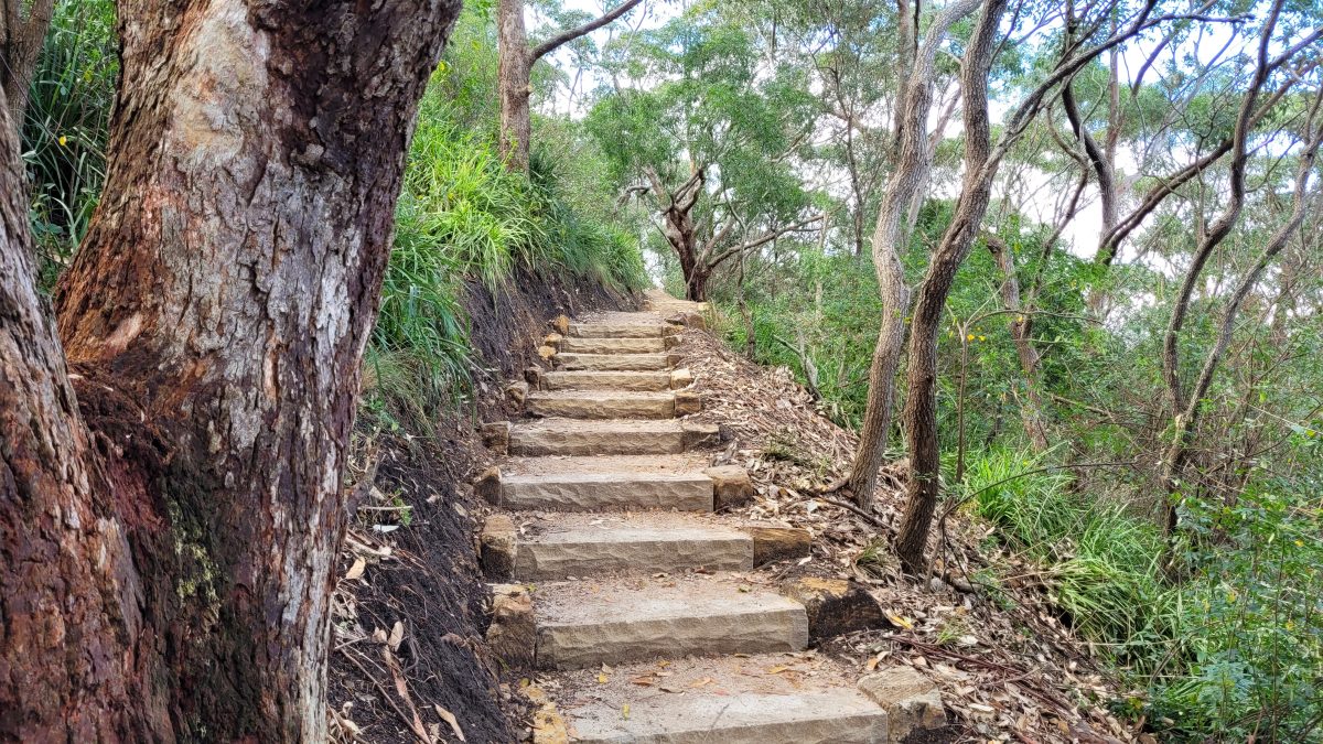 national park walking path