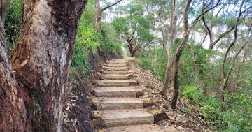 'We don't want your big fat bullsh*t': Stanwell Park slams childcare tender