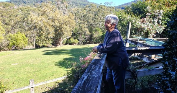 Illawarra's ever-changing escarpment inspires artist's 14th exhibition