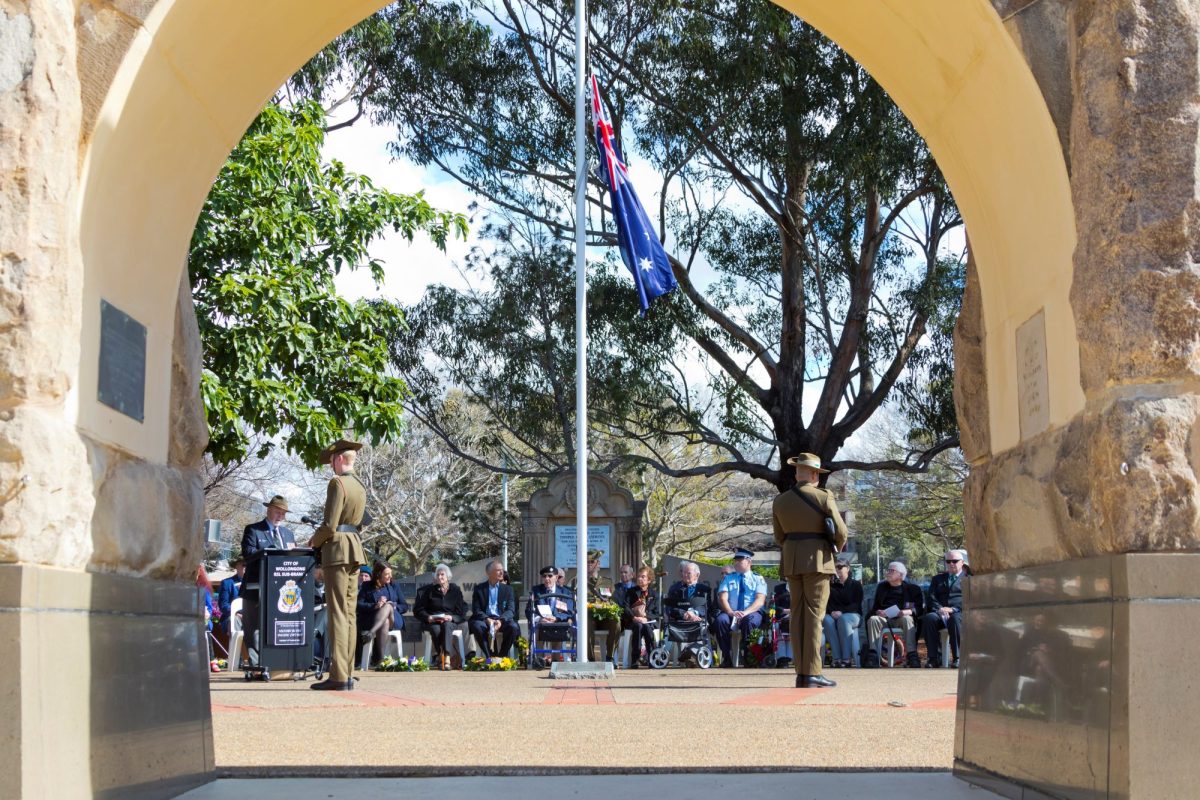 Service personnel at attention at Wollongong's MacCabe Park Cenotaph.