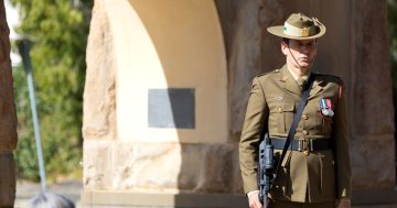 VP Day service honours World War II veterans, 80 years after war ended